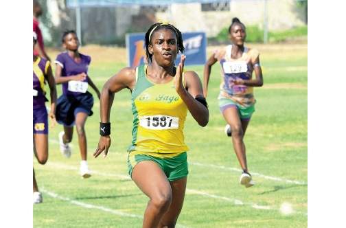 Organisers happy with 12th staging of Wesley Powell meet